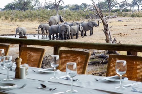 A group of elephants around a water hole in the background, a nicely set dining table in a luxury safari camp in Africa